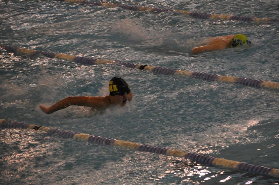 14570368 1125485377540384 4175248397670325524 n